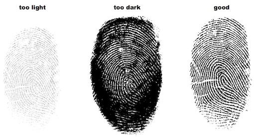 Example Fingerprint